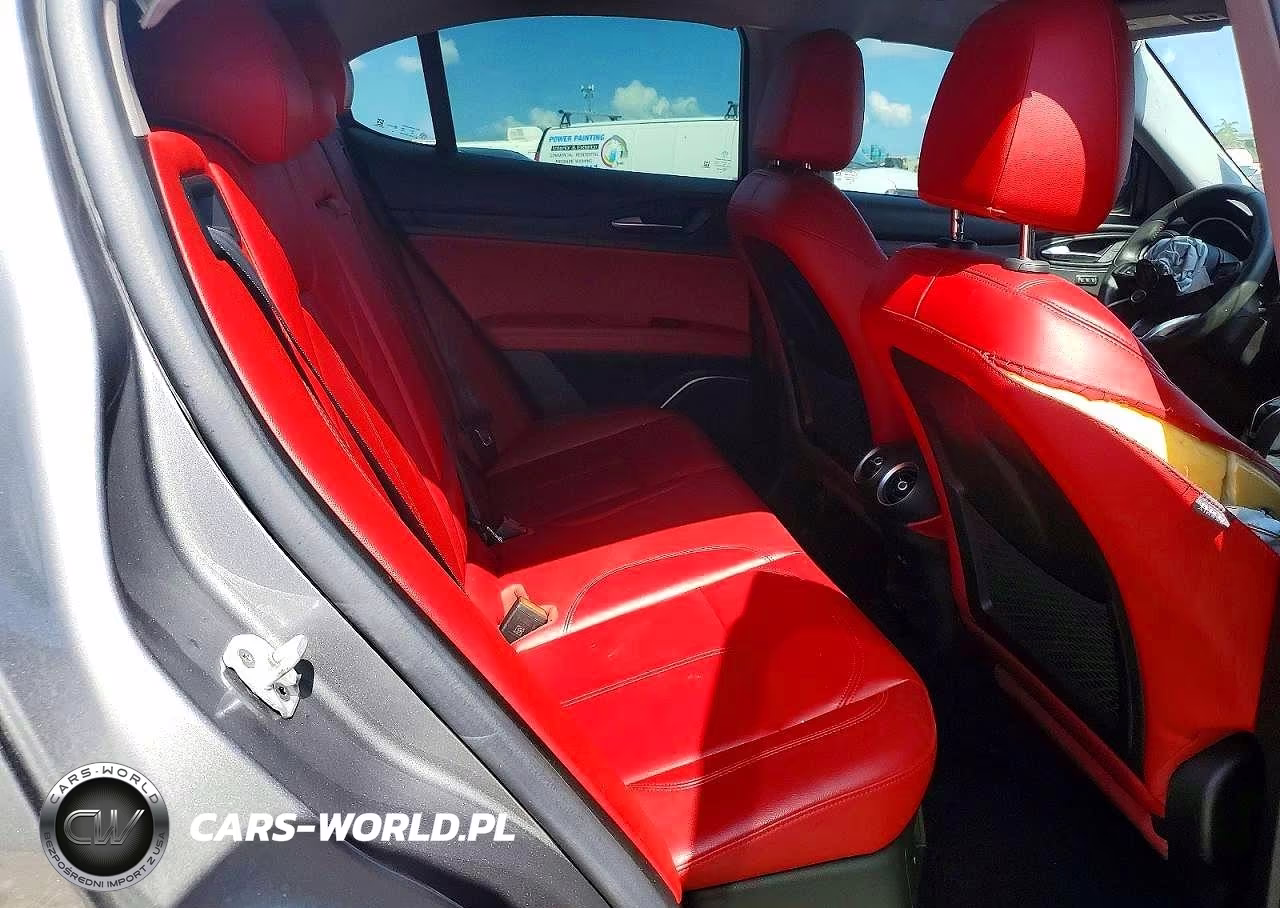 2020 Alfa Romeo Stelvio VIN:ZASPAJAN6L7C75483 - 10