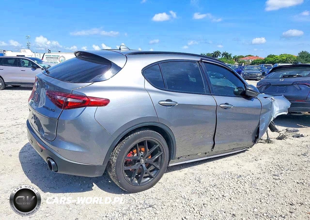 2020 Alfa Romeo Stelvio VIN:ZASPAJAN6L7C75483 - 3