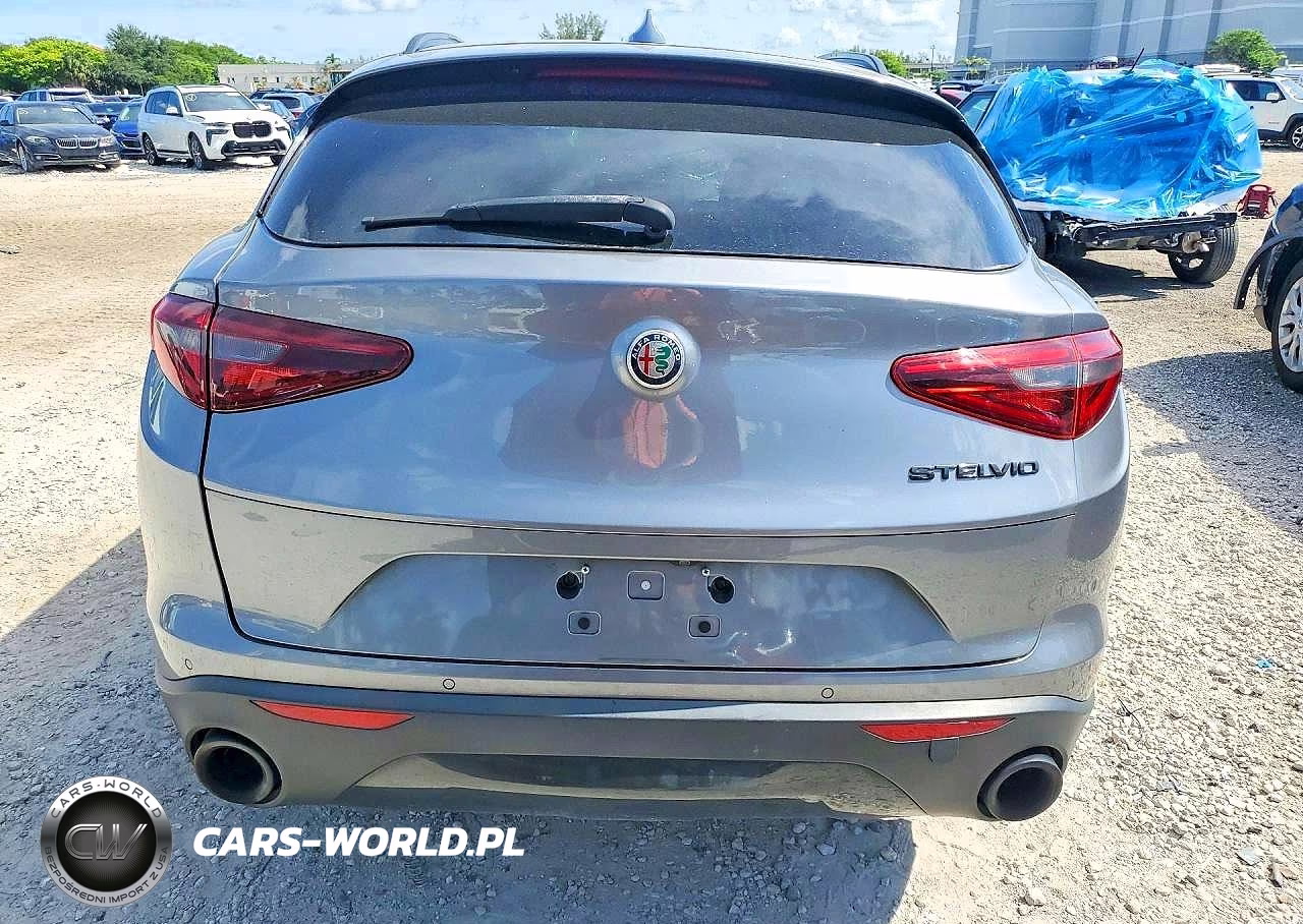 2020 Alfa Romeo Stelvio VIN:ZASPAJAN6L7C75483 - 6