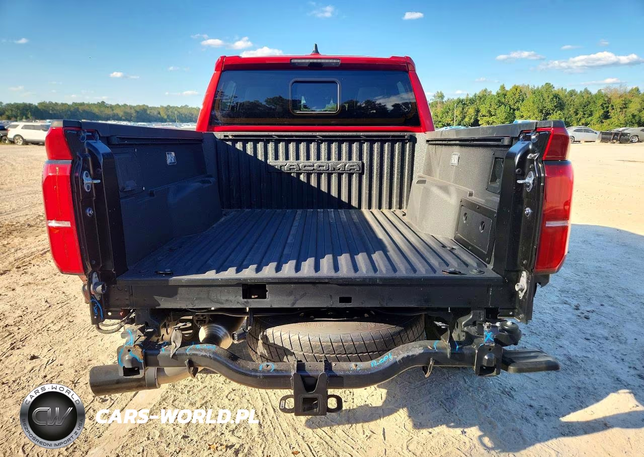2024 Toyota Tacoma Trd Sport VIN:3TYKB5FNXRT009838 - 6