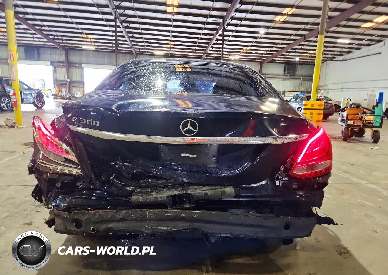 2016 Mercedes-Benz C 300 VIN:55SWF4JB6GU122453 - 6