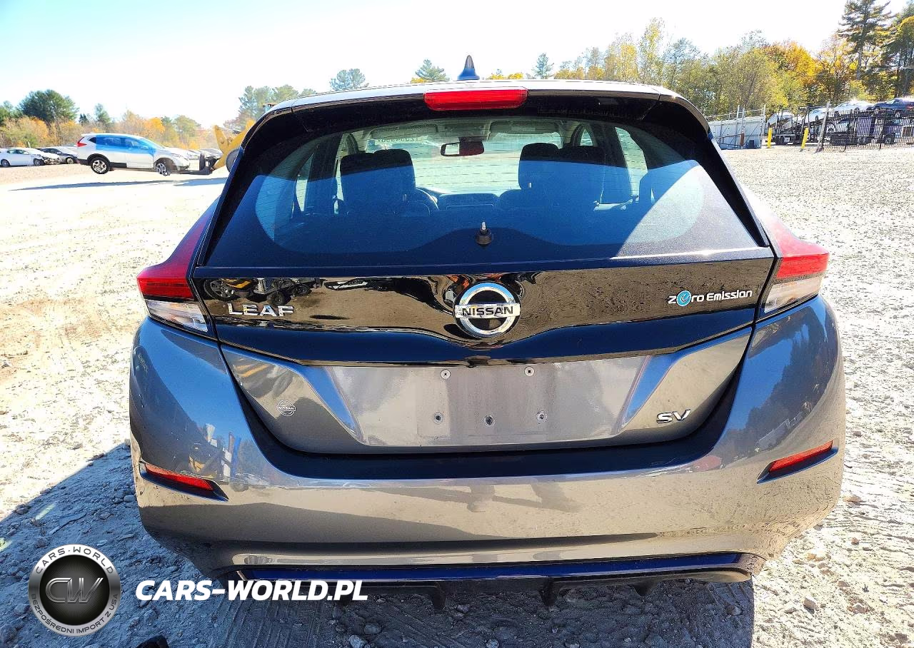2018 Nissan Leaf Sv VIN:1N4AZ1CP4JC301787 - 6
