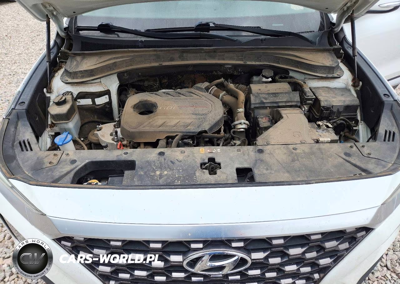 2019 Hyundai Santa Fe Limited 2.0T VIN:5NMS53AA5KH055503 - 12