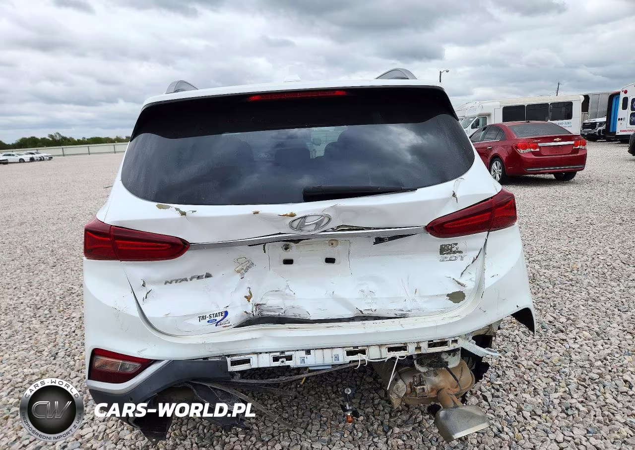 2019 Hyundai Santa Fe Limited 2.0T VIN:5NMS53AA5KH055503 - 6