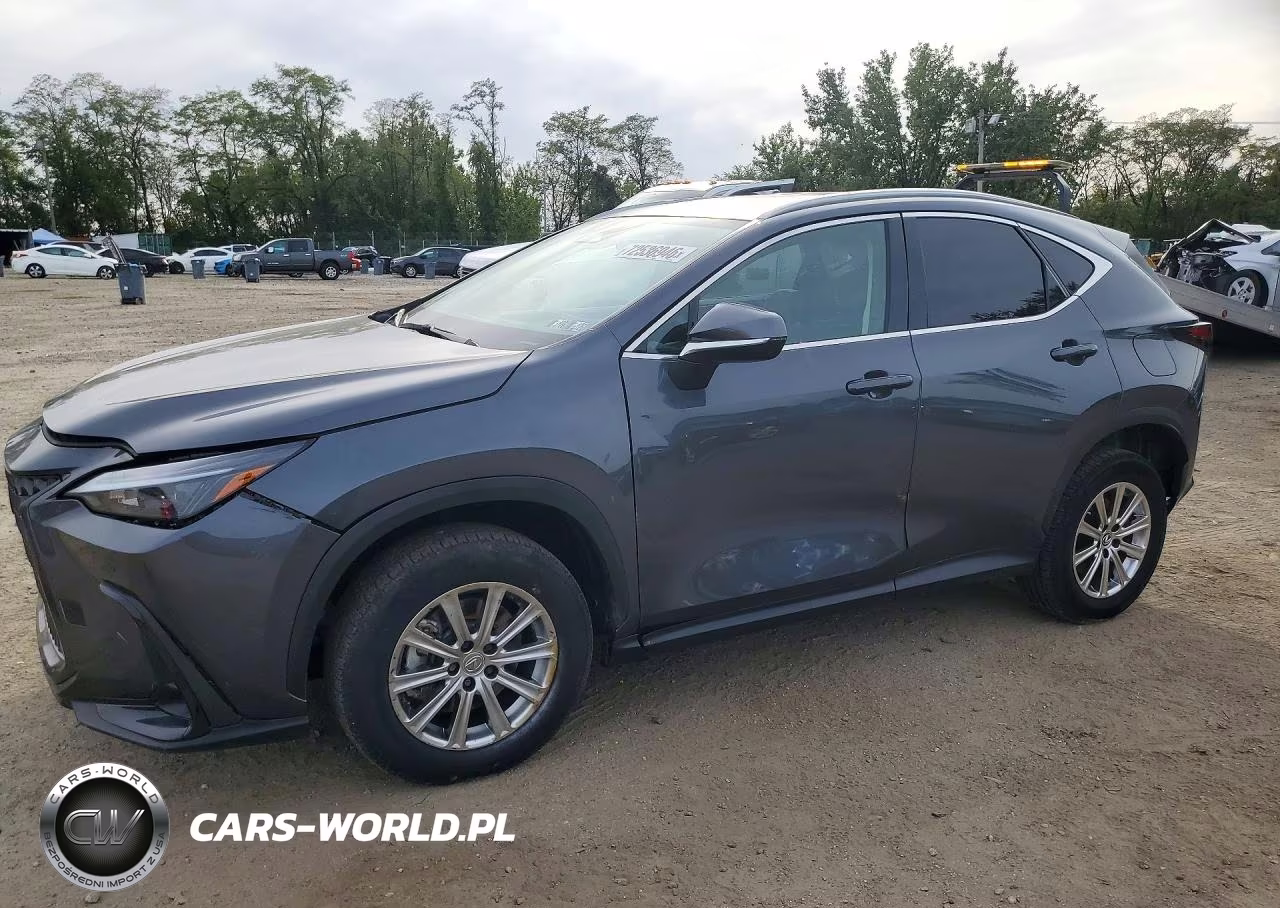 2024 Lexus Nx 350 Premium VIN:2T2GGCEZ6RC036809 - 1