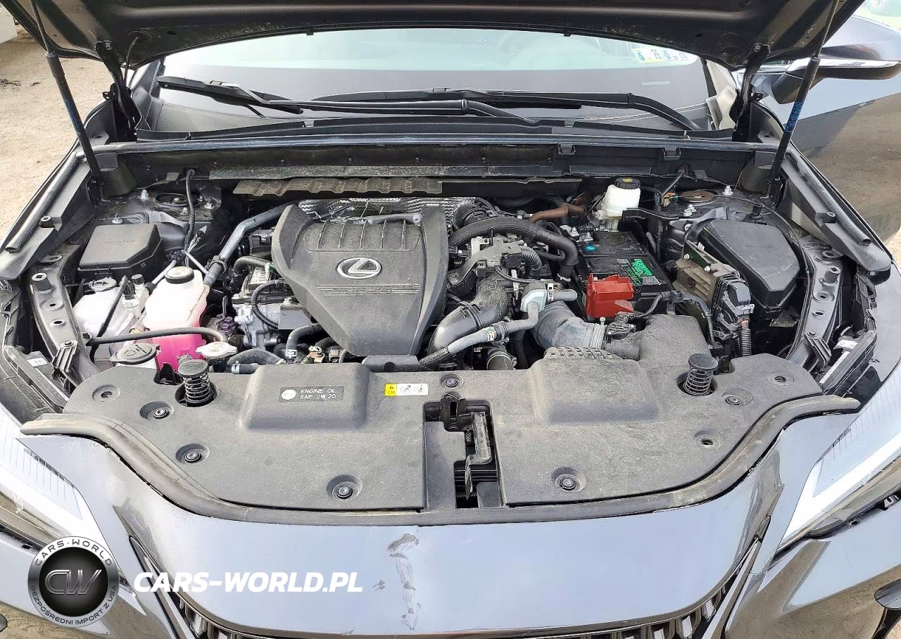 2024 Lexus Nx 350 Premium VIN:2T2GGCEZ6RC036809 - 12