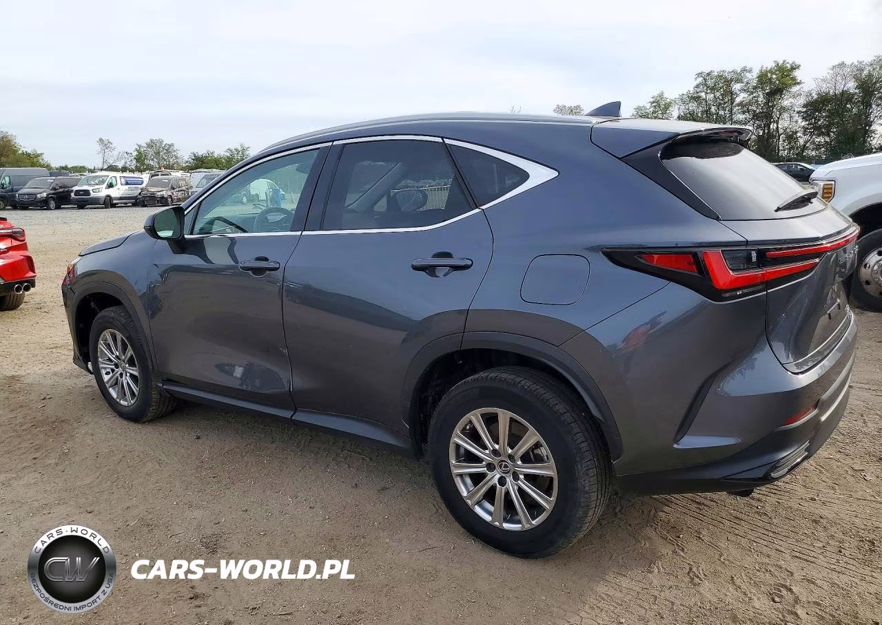2024 Lexus Nx 350 Premium VIN:2T2GGCEZ6RC036809 - 2
