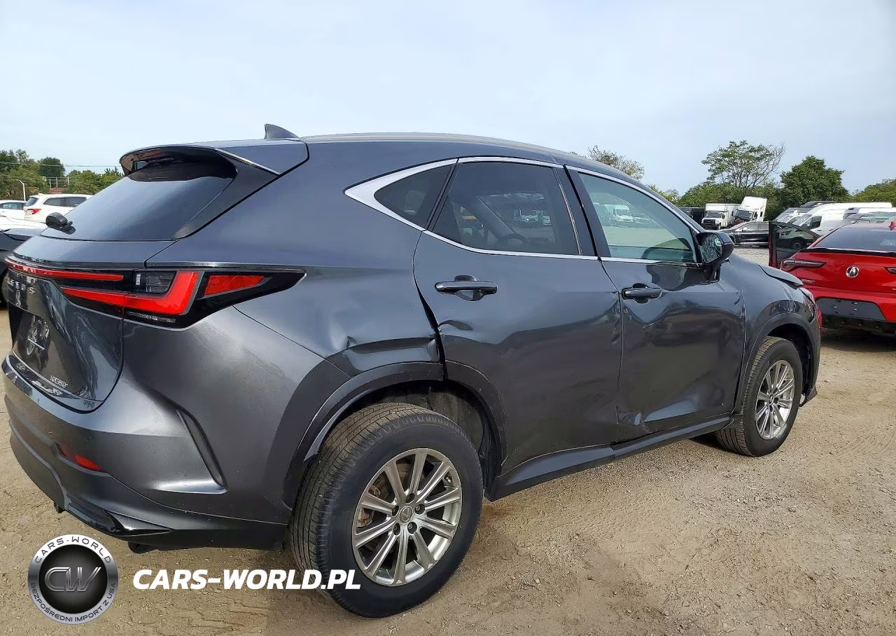2024 Lexus Nx 350 Premium VIN:2T2GGCEZ6RC036809 - 3