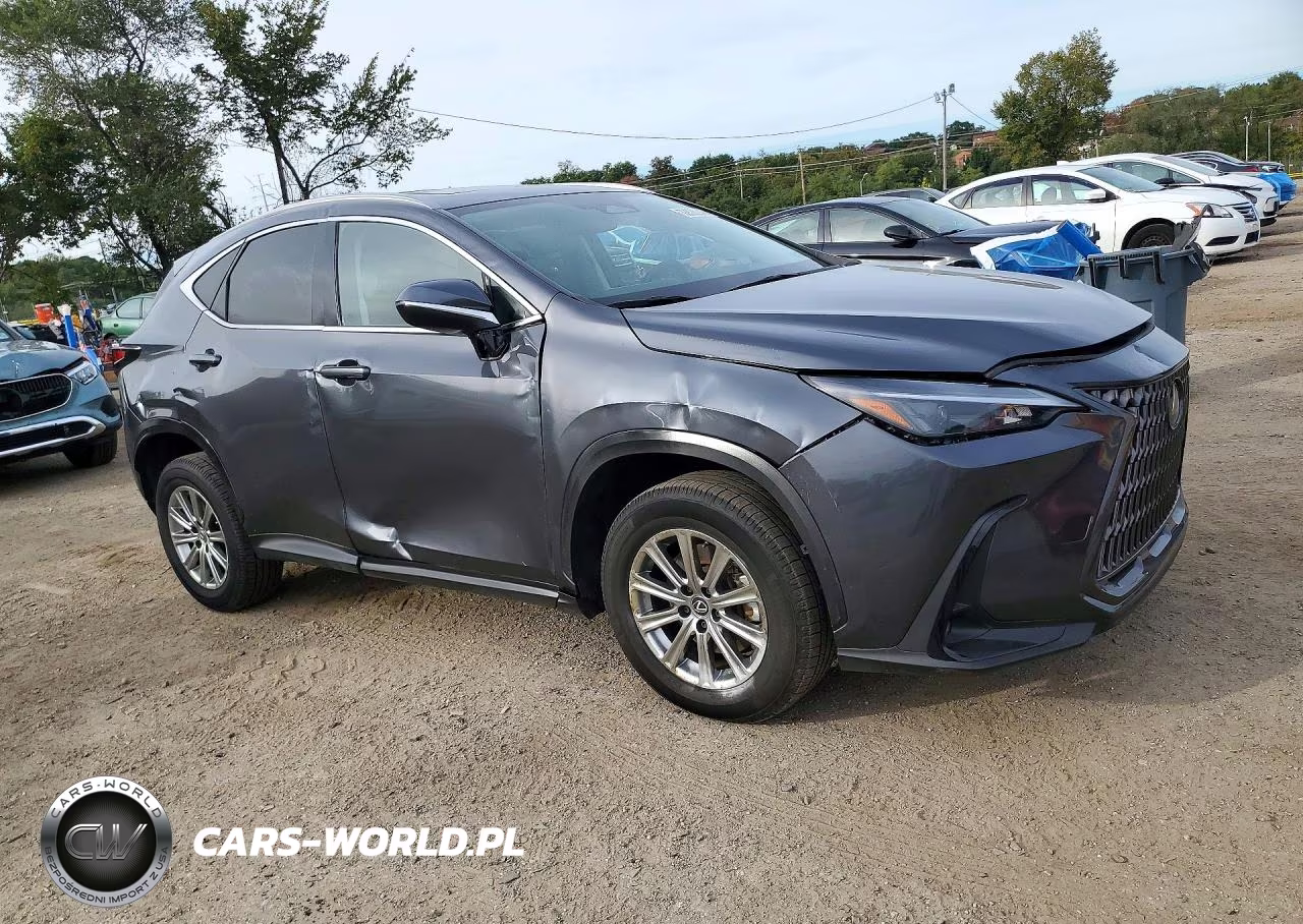2024 Lexus Nx 350 Premium VIN:2T2GGCEZ6RC036809 - 4