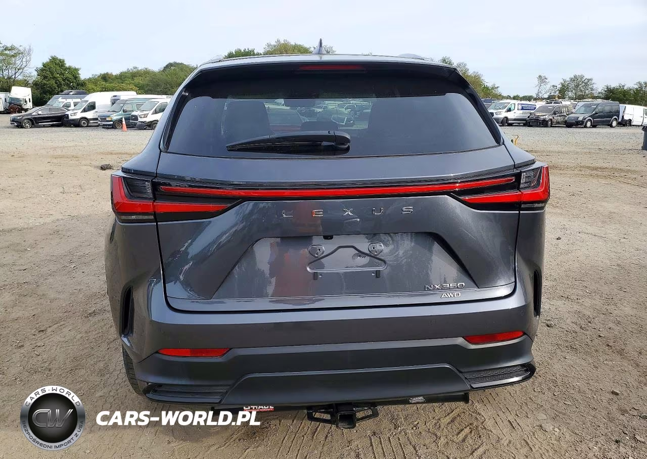 2024 Lexus Nx 350 Premium VIN:2T2GGCEZ6RC036809 - 6