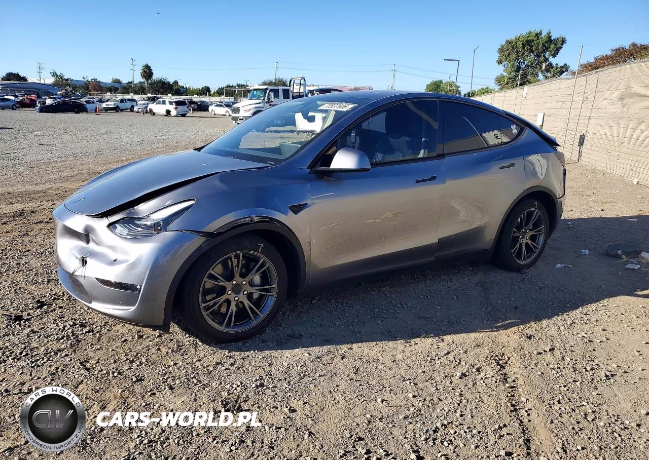 2024 Tesla Model Y