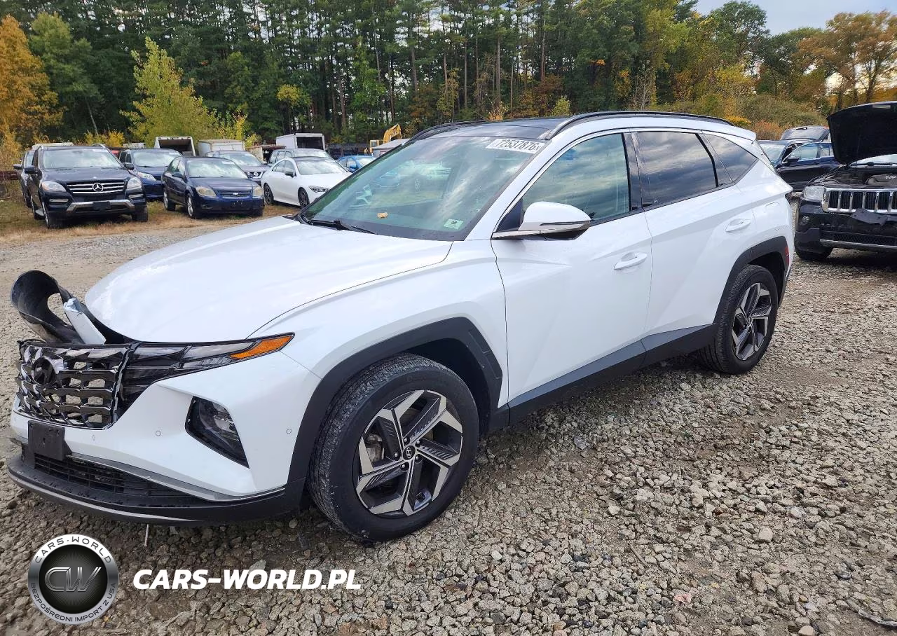 2022 Hyundai Tucson Limited VIN:KM8JECAEXNU133801 - 1