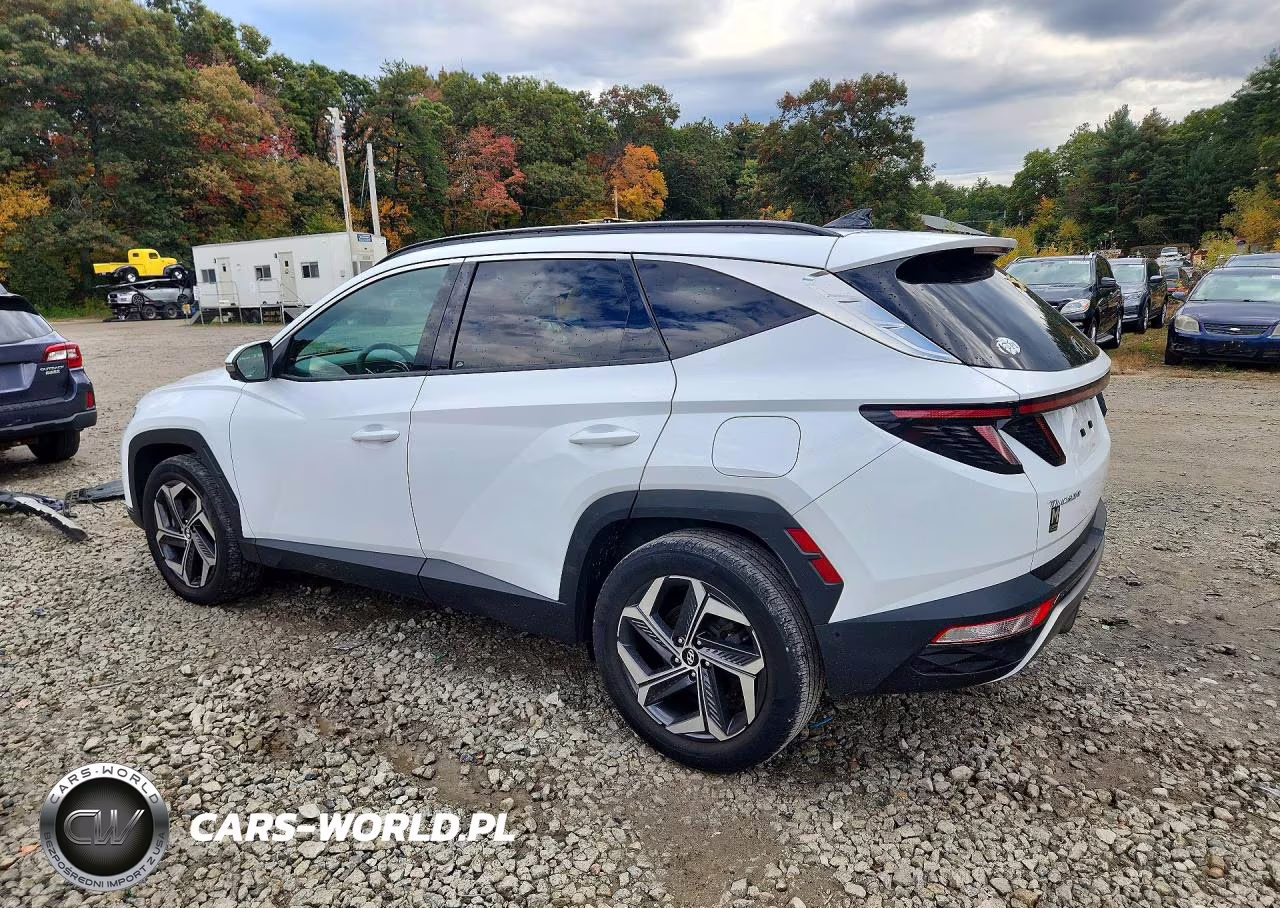 2022 Hyundai Tucson Limited VIN:KM8JECAEXNU133801 - 2