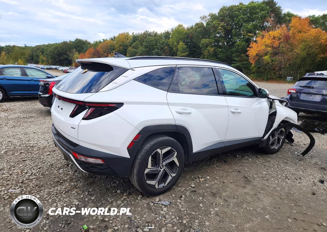 2022 Hyundai Tucson Limited VIN:KM8JECAEXNU133801 - 3