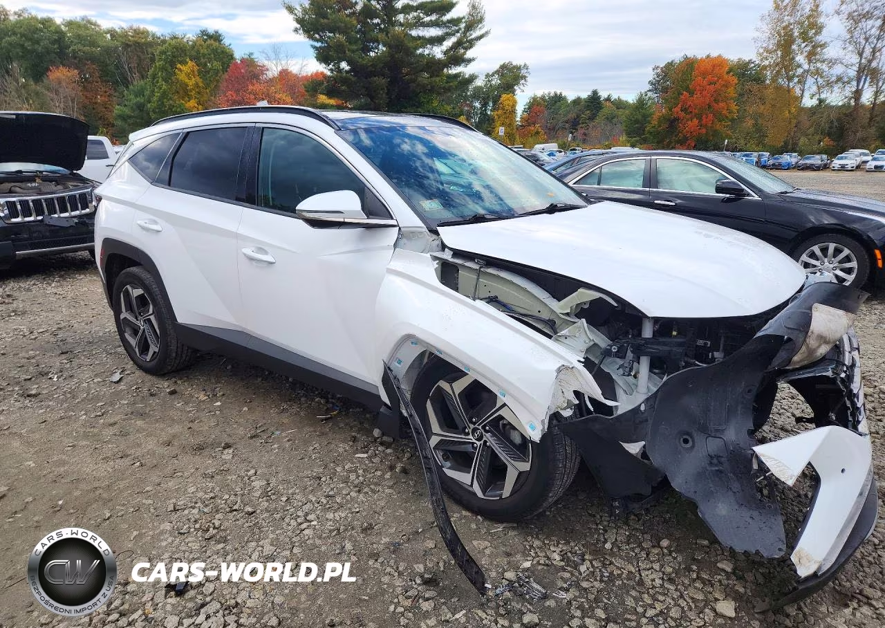 2022 Hyundai Tucson Limited VIN:KM8JECAEXNU133801 - 4