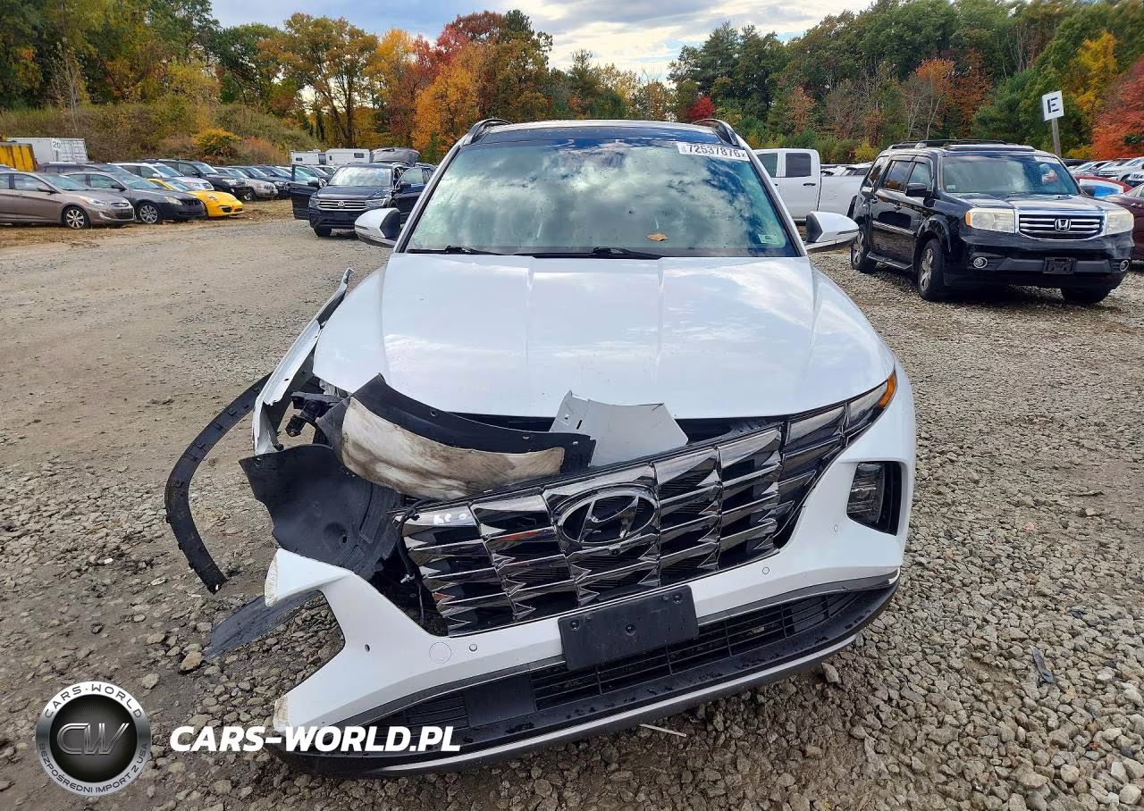 2022 Hyundai Tucson Limited VIN:KM8JECAEXNU133801 - 5