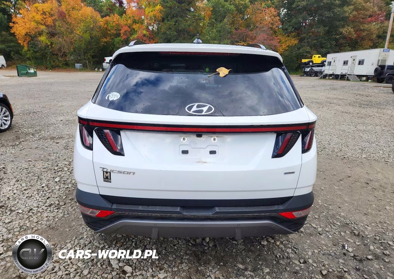 2022 Hyundai Tucson Limited VIN:KM8JECAEXNU133801 - 6