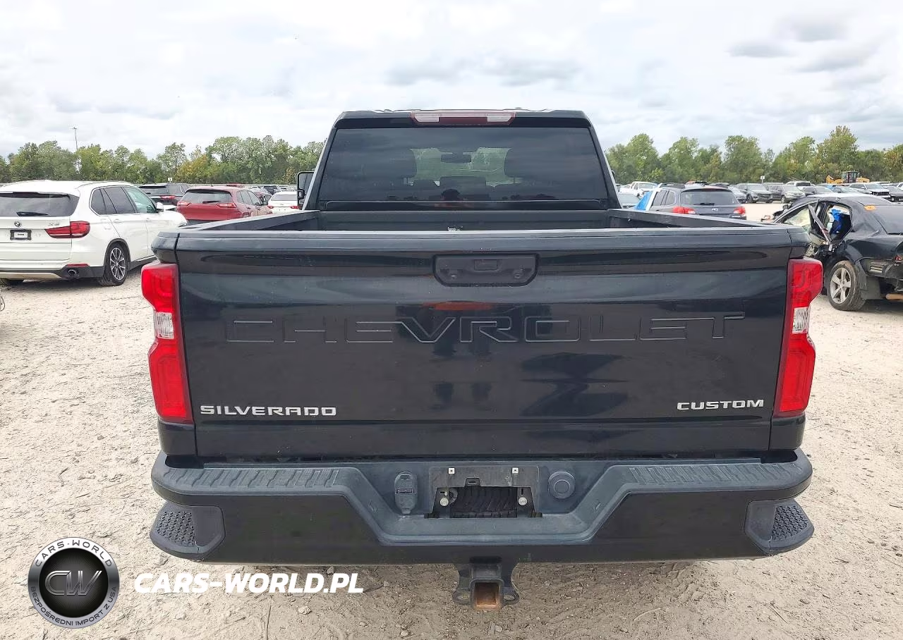 2020 Chevrolet Silverado K2500 Custom VIN:1GC4YME7XLF299909 - 6