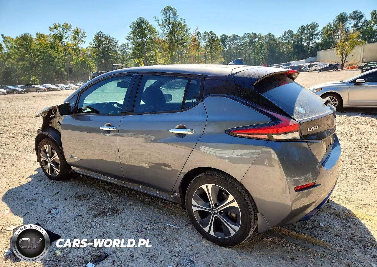 2019 Nissan Leaf Sl Plus VIN:1N4BZ1CP4KC317140 - 2