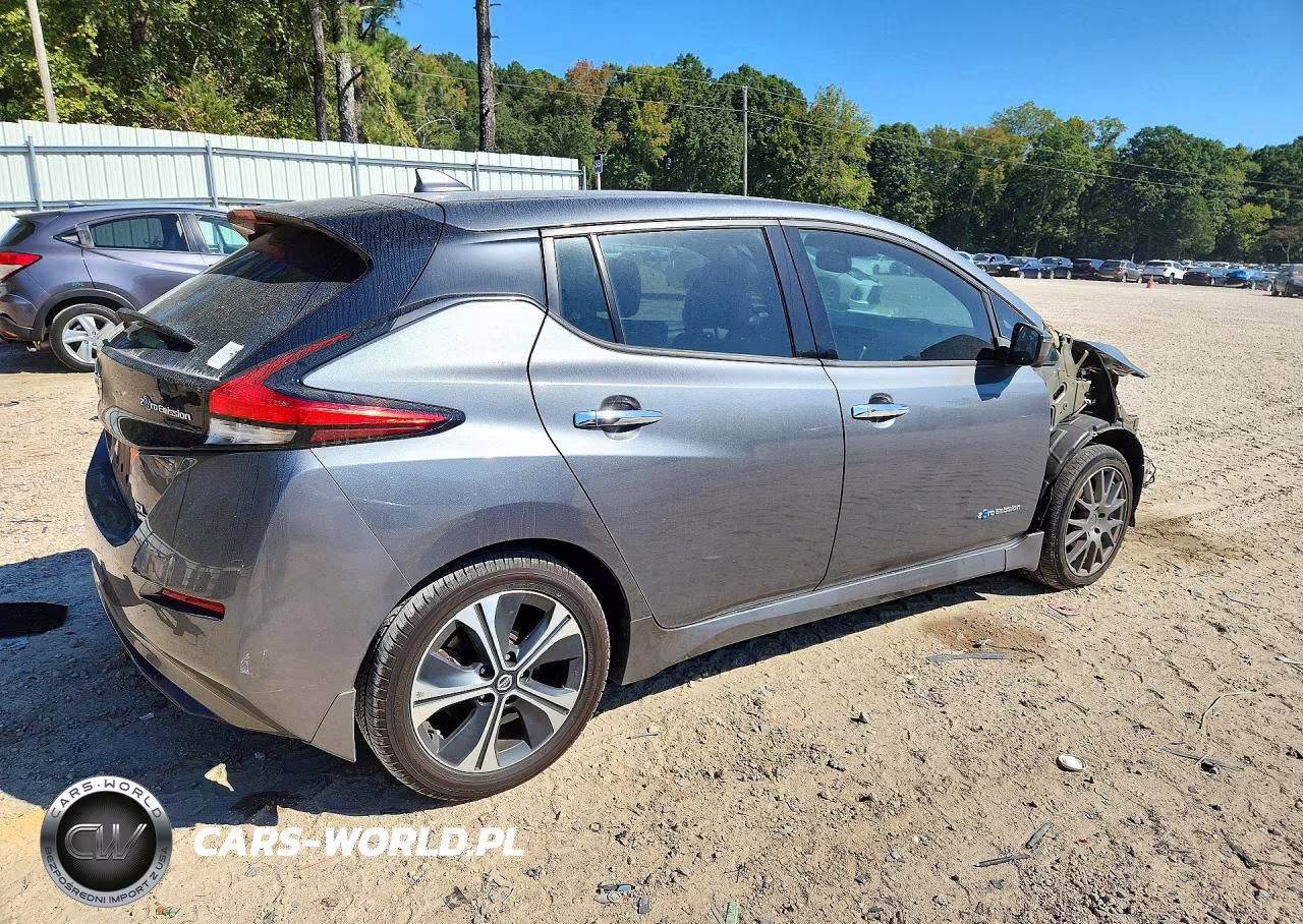 2019 Nissan Leaf Sl Plus VIN:1N4BZ1CP4KC317140 - 3