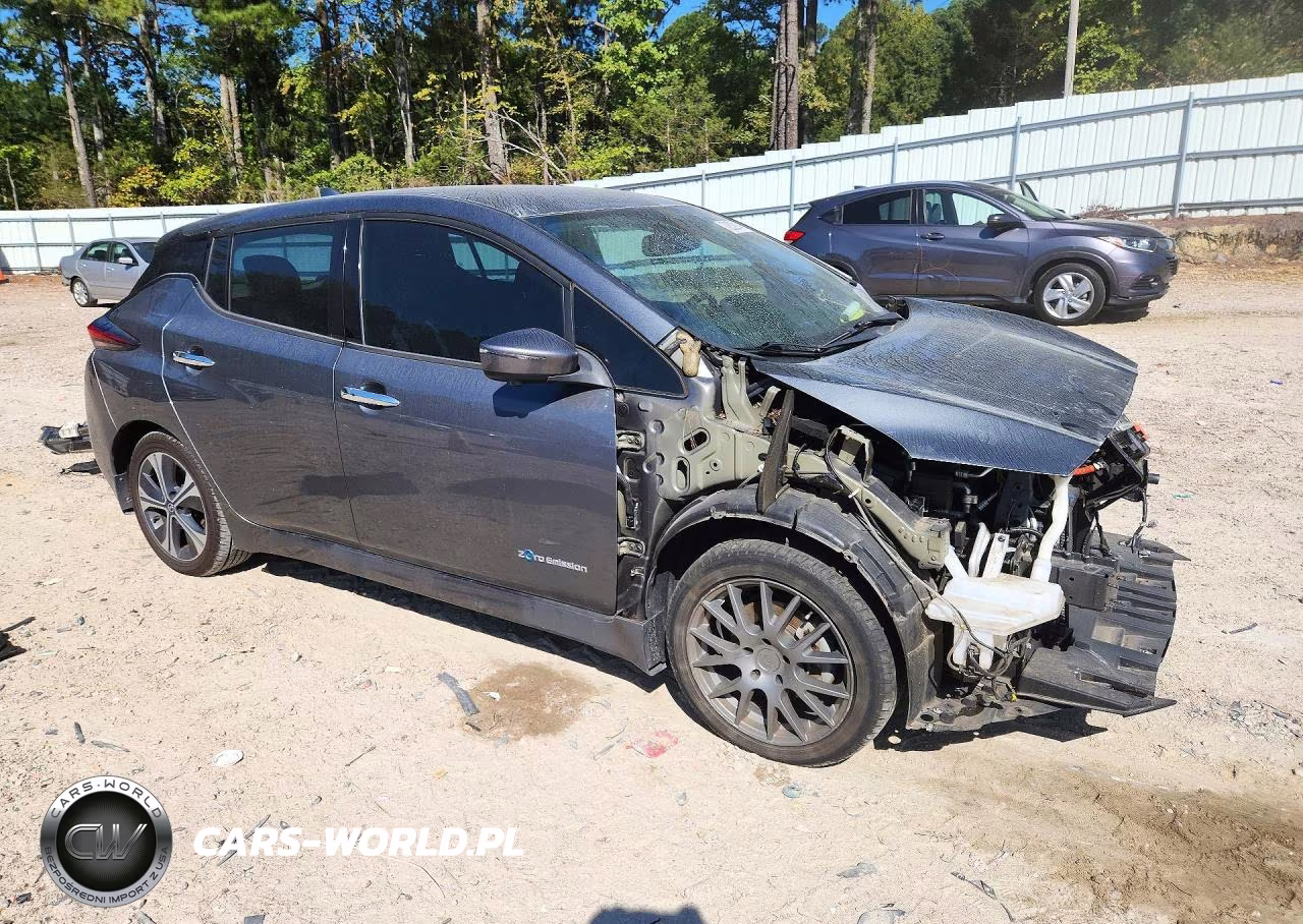 2019 Nissan Leaf Sl Plus VIN:1N4BZ1CP4KC317140 - 4