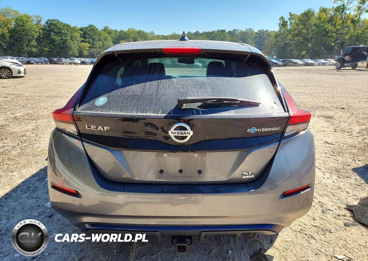 2019 Nissan Leaf Sl Plus VIN:1N4BZ1CP4KC317140 - 6