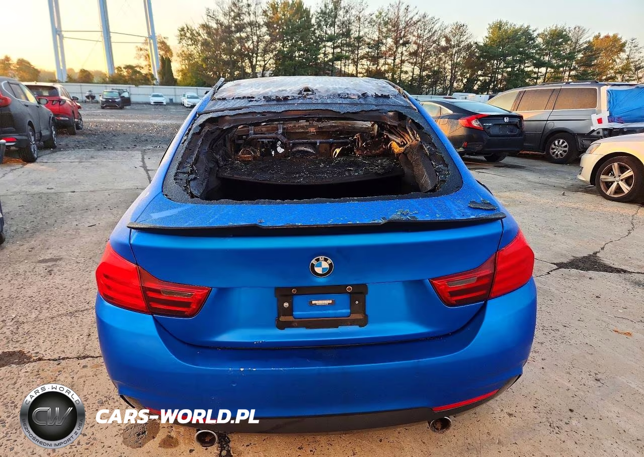 2015 BMW 435 Xi Gran Coupe VIN:WBA4B3C54FGV48701 - 6