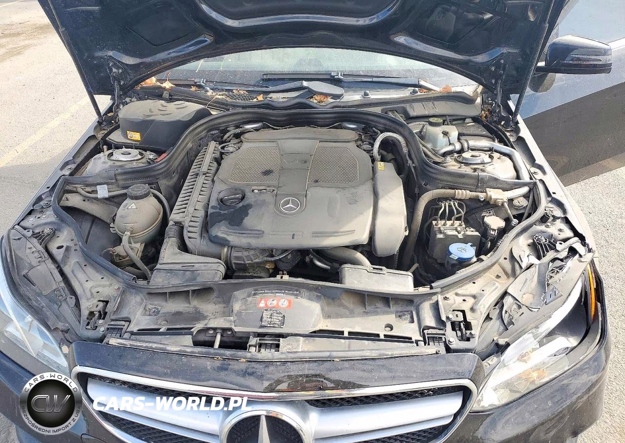2014 Mercedes-Benz E 350 VIN:WDDHF5KB4EA970096 - 11