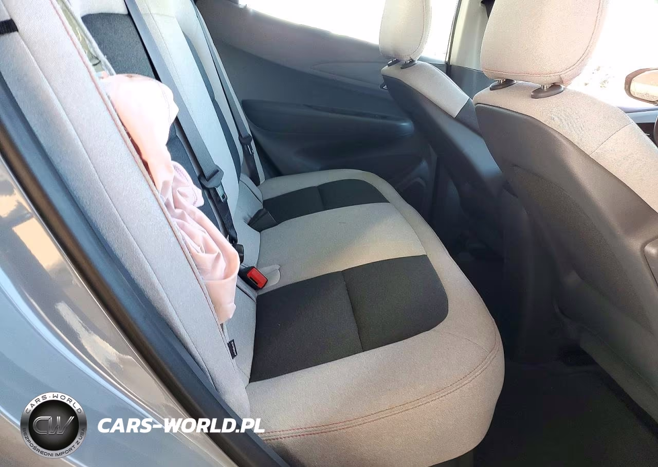 2019 Chevrolet Bolt Ev Lt VIN:1G1FY6S04K4150216 - 10