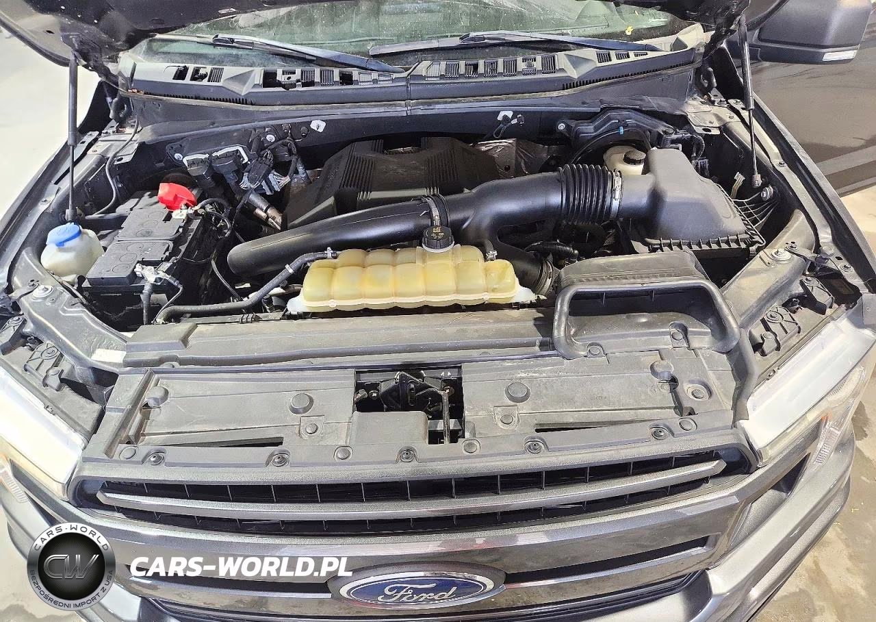 2019 Ford F150 Supercrew VIN:1FTEW1E46KKE93292 - 11