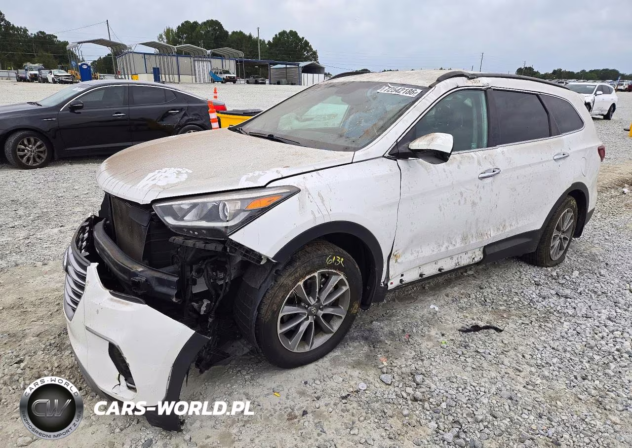 2019 Hyundai Santa Fe Xl Se VIN:KM8SMDHF8KU303306 - 1