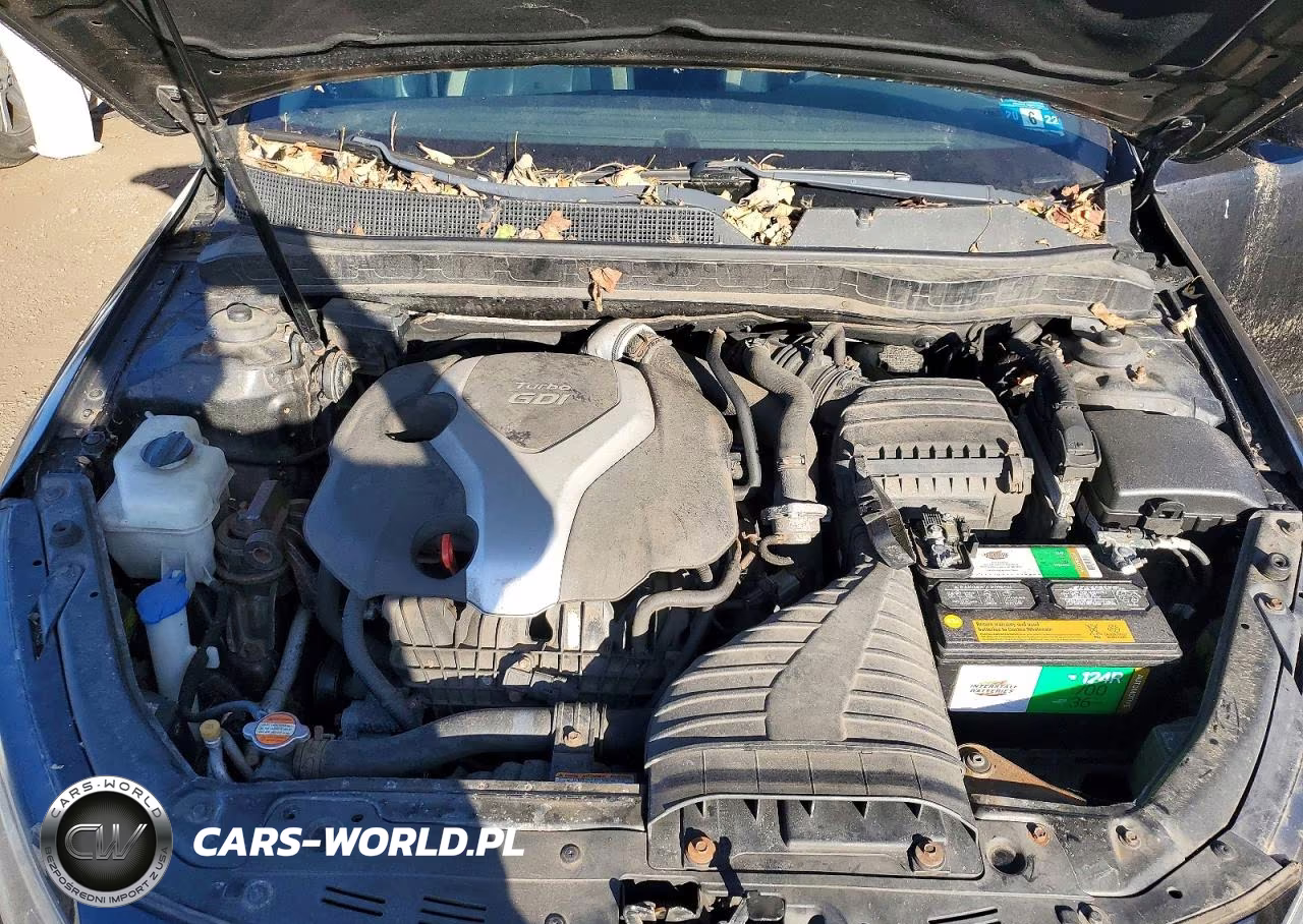 2011 Kia Optima Sx VIN:KNAGR4A67B5114790 - 11