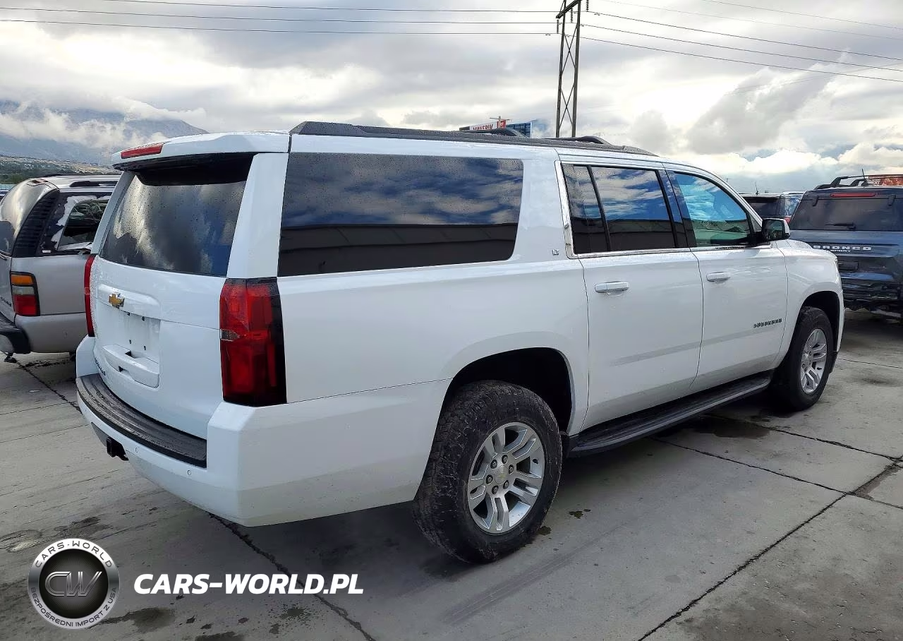 2019 Chevrolet Suburban K1500 Lt VIN:1GNSKHKC0KR193393 - 3