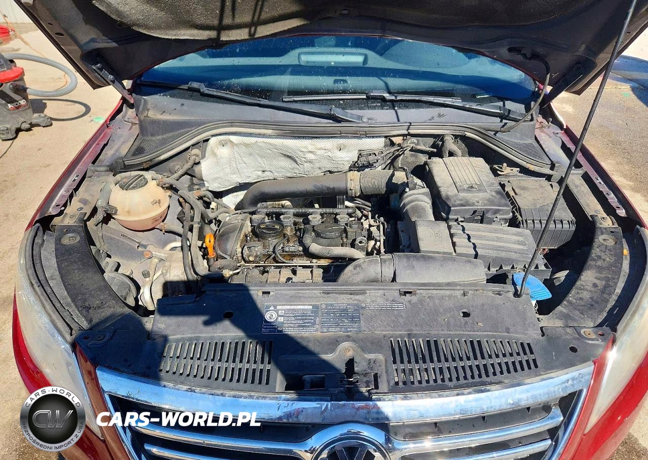 2009 Volkswagen Tiguan Se VIN:WVGBV75N09W501385 - 11