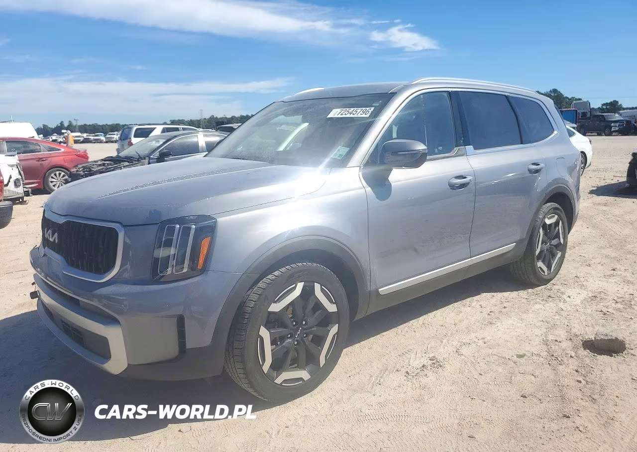 2024 Kia Telluride Ex VIN:5XYP3DGC6RG413349 - 1