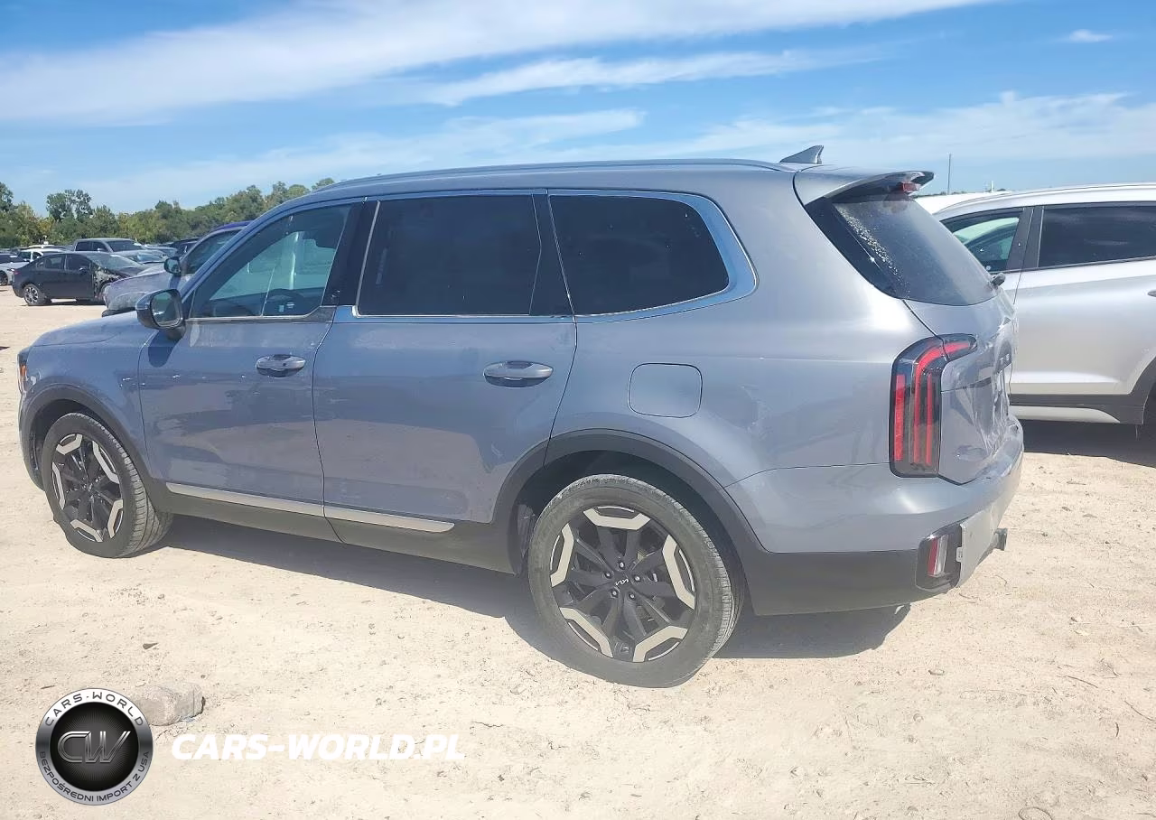 2024 Kia Telluride Ex VIN:5XYP3DGC6RG413349 - 2