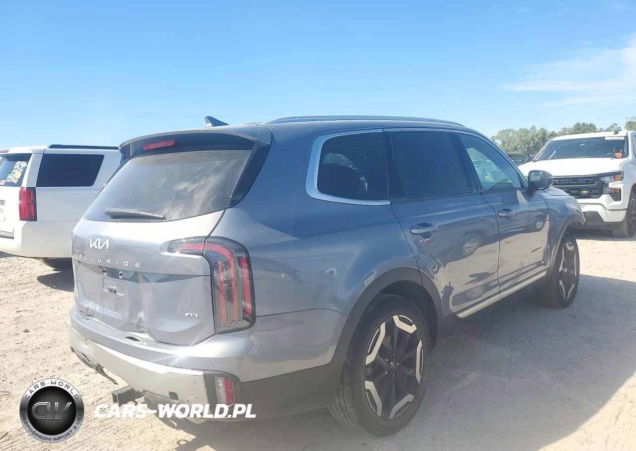 2024 Kia Telluride Ex VIN:5XYP3DGC6RG413349 - 3