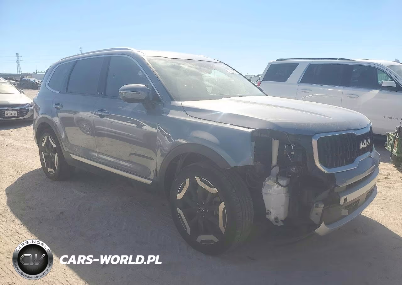 2024 Kia Telluride Ex VIN:5XYP3DGC6RG413349 - 4