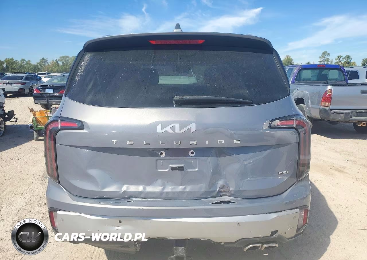 2024 Kia Telluride Ex VIN:5XYP3DGC6RG413349 - 6