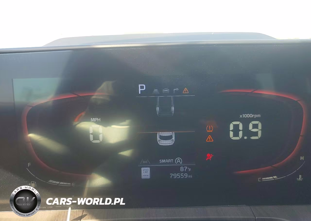 2024 Kia Telluride Ex VIN:5XYP3DGC6RG413349 - 9