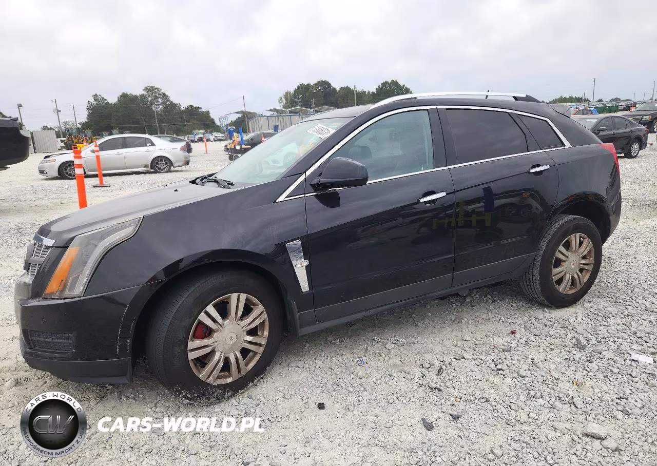 2010 Cadillac Srx Luxury Collection VIN:3GYFNAEY0AS626863 - 1