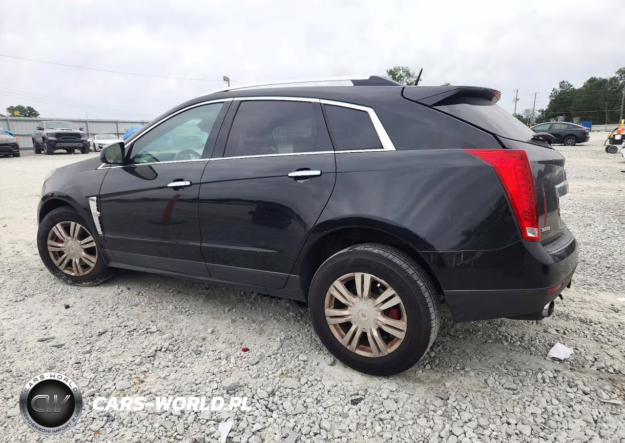 2010 Cadillac Srx Luxury Collection VIN:3GYFNAEY0AS626863 - 2