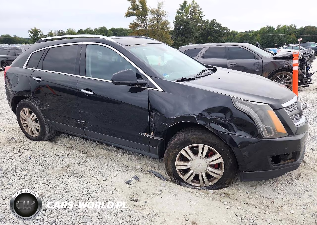 2010 Cadillac Srx Luxury Collection VIN:3GYFNAEY0AS626863 - 4