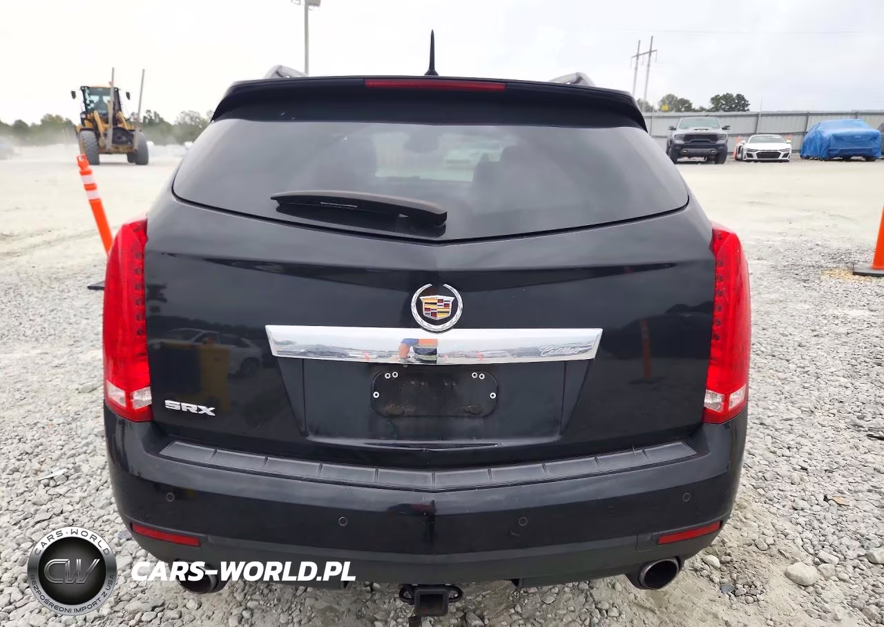 2010 Cadillac Srx Luxury Collection VIN:3GYFNAEY0AS626863 - 6