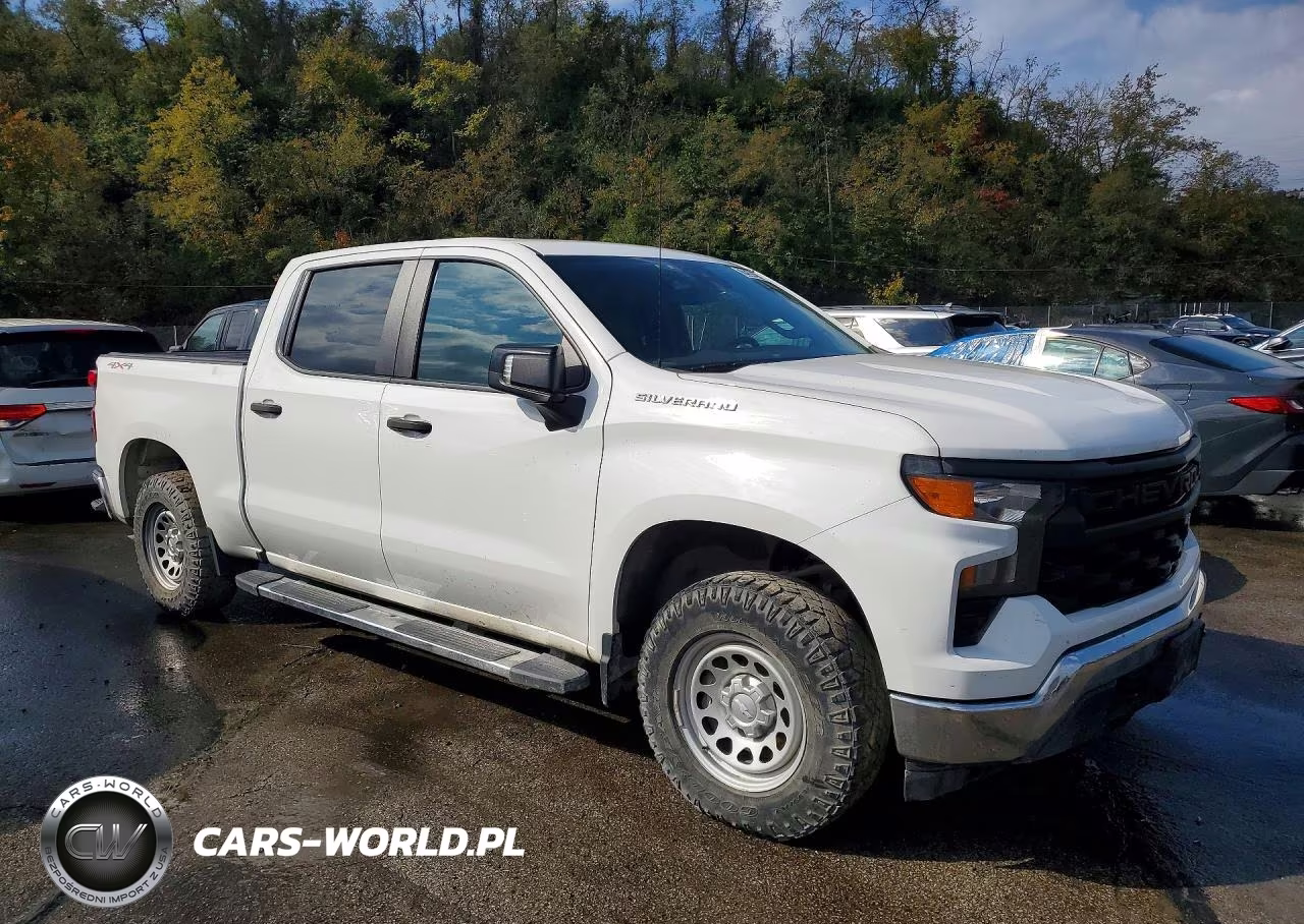 2023 Chevrolet Silverado K1500 VIN:3GCPDAEK6PG102508 - 4