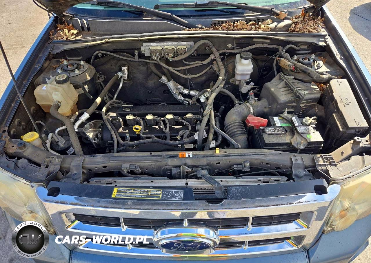 2010 Ford Escape Xlt VIN:1FMCU0D77AKA11006 - 12