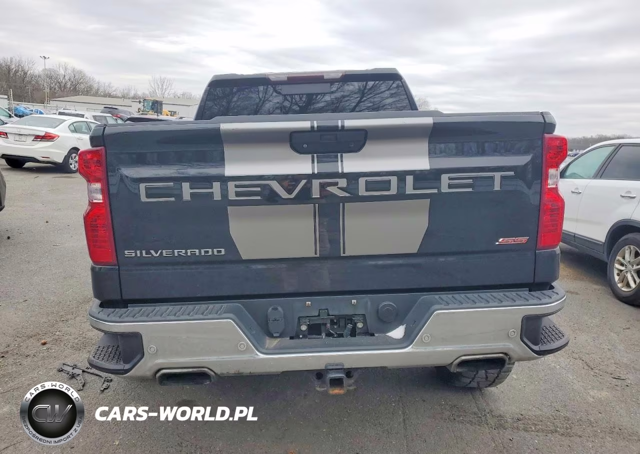 2019 Chevrolet Silverado K1500 Lt VIN:1GCUYDED0KZ169690 - 6