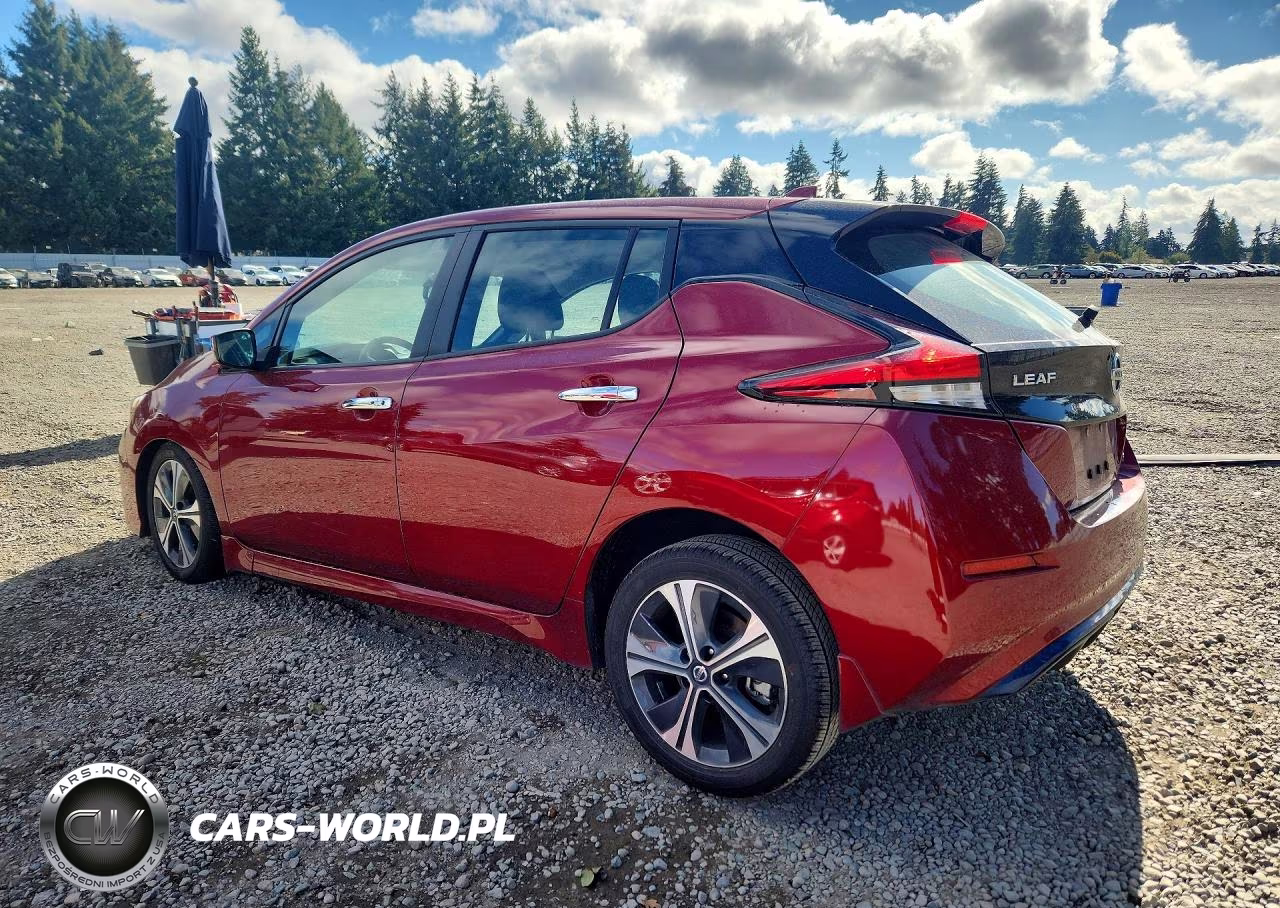 2020 Nissan Leaf Sv VIN:1N4AZ1CP7LC301110 - 2