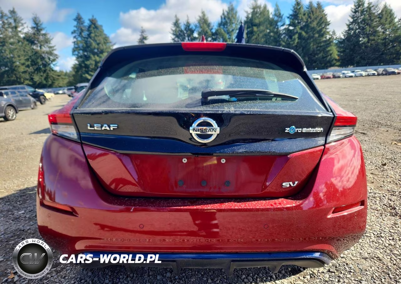 2020 Nissan Leaf Sv VIN:1N4AZ1CP7LC301110 - 6