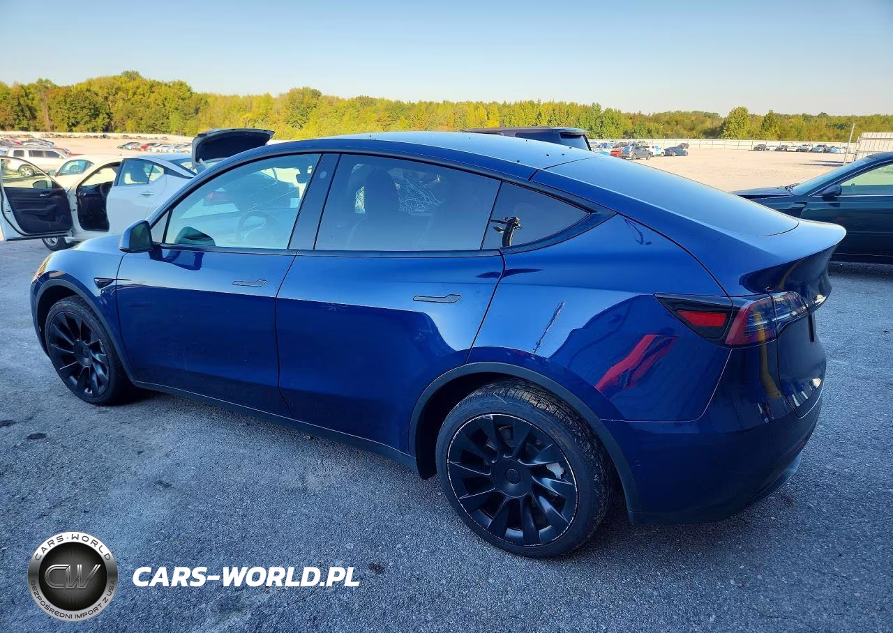 2022 Tesla Model Y VIN:7SAYGDEE7NF365510 - 2